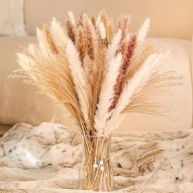 60/62/76/80/85/100pcs Boho Pampas Grass Bouquet Home Decor Floral Dried Flowers Wedding Arrangements Natural Reed Bunny Tails (Ships From: China, Color: 85pcs)